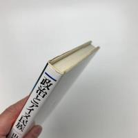 政治とアイヌ民族