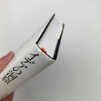 イデアの洞窟
