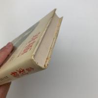 対極　デーモンの幻想
