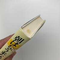 朝はもう来ない