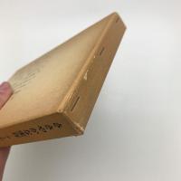 ささやかな実存 マーガレット・ドラブル研究