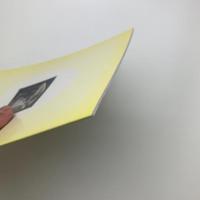 文化のたまご あたため育てて20年