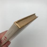 チャンピオン　ラードナー短篇集