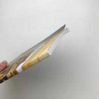 ドキュメント アーツ秋田構想