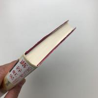 乙女たちが愛した抒情画家 蕗谷虹児