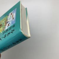 ルネサンスの詩 城と泉と旅人と