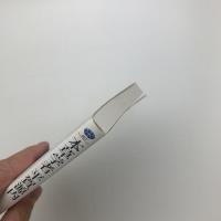 本草学者 平賀源内