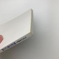 写真の系譜Ⅲ 明治中期の洋画