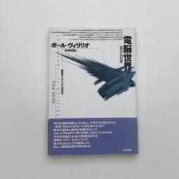 電脳世界 最悪のシナリオへの対応