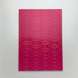 IMAGINE☆ 楢橋朝子・開発良明展