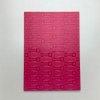 IMAGINE☆ 楢橋朝子・開発良明展