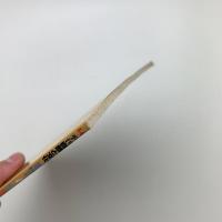 季刊 自然と文化 14 秋季号