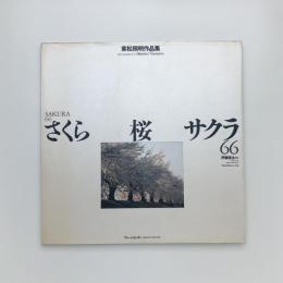 さくら・桜・サクラ 66