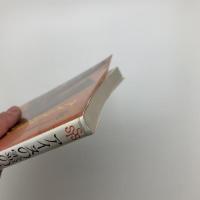 アイヌの霊の世界