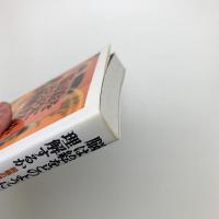 脳は絵をどのように理解するか 絵画の認知科学