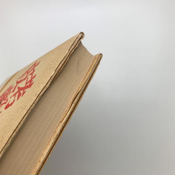 考える皮膚 : 触覚文化論 考える皮膚 触覚文化論(港千尋) / 古本、中古本、古書籍の通販は