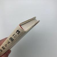 性に関する探求