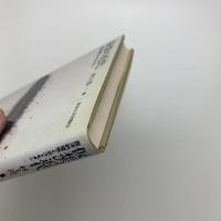 仮想の近代 西洋的理性とポストモダン