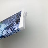 あしたのひかり 日本の新進作家 vol.17