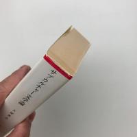 サブカルチャー文学論