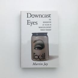 Downcast Eyes: The Denigration of Vision in Twentieth-Century French Thought
