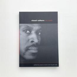 Visual Culture : The Reader