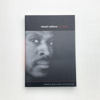 Visual Culture : The Reader