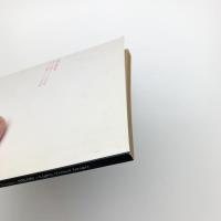 影 写像としての世界/光 仮想としての世界