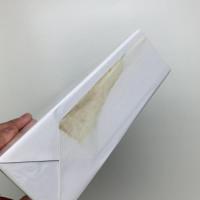 北狐の足跡 「書」という宇宙の大活劇
