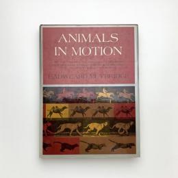 ANIMALS IN MOTION