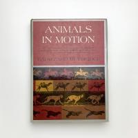 ANIMALS IN MOTION