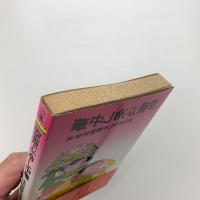空飛ぶ冷し中華