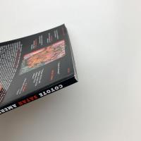 COYOTE SATAN AMERIKA: The Unspeakable Art and Performances of Reverend Steven Johnson Leyba
