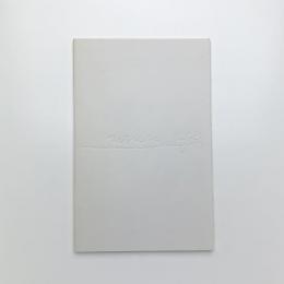 Mariko Koike's 「ERIKA」 Illustration