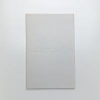 Mariko Koike's 「ERIKA」 Illustration