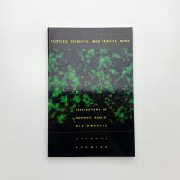 Turtles, Termites, and Traffic Jams: Explorations in Massively Parallel Microworlds