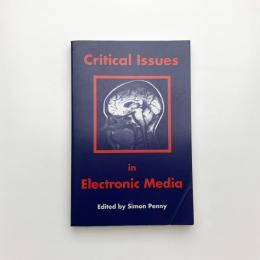 Critical Issues in Electronic Media