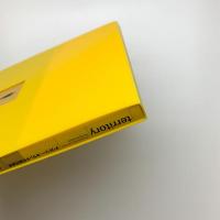 テリトリー：オランダの現代美術