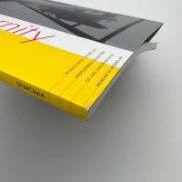 Picturing Modernity