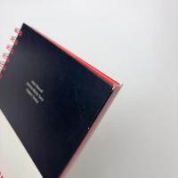 L'ombre vive de la mesure