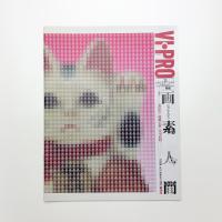VI・PRO ビープロ vol.1 創刊号