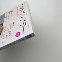 文藝別冊 KAWADE夢ムック フルトヴェングラー 世界最高の指揮者