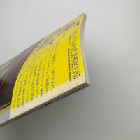 ART VIVANT アール・ヴィヴァン 17号　特集=フランス現代美術展1985