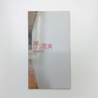 岸にあがった花火 宮永愛子展