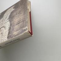 Katze blau: 100 Holzschnitte von Horst Janssen