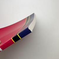 「美術史探索学入門　美術館時代が掘り起こした作家達」展