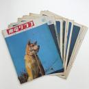 東電グラフ　1970年揃