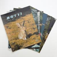 東電グラフ　1975年揃