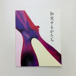 知覚するかたち