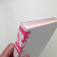Rapt!: 20 contemporary artists from japan